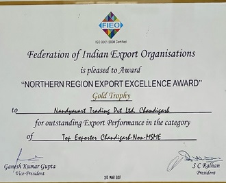 Nandyavart Group Export Excellence Award Gold Trophy
