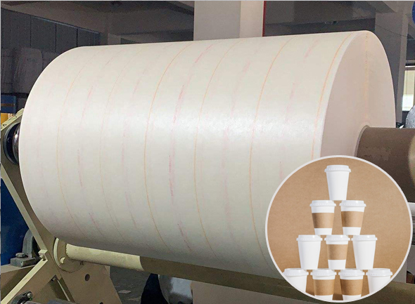 Premium Cup Stock Paper (1S/2S) for Disposable Paper Cups and Food Packaging